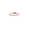 Initial Ring